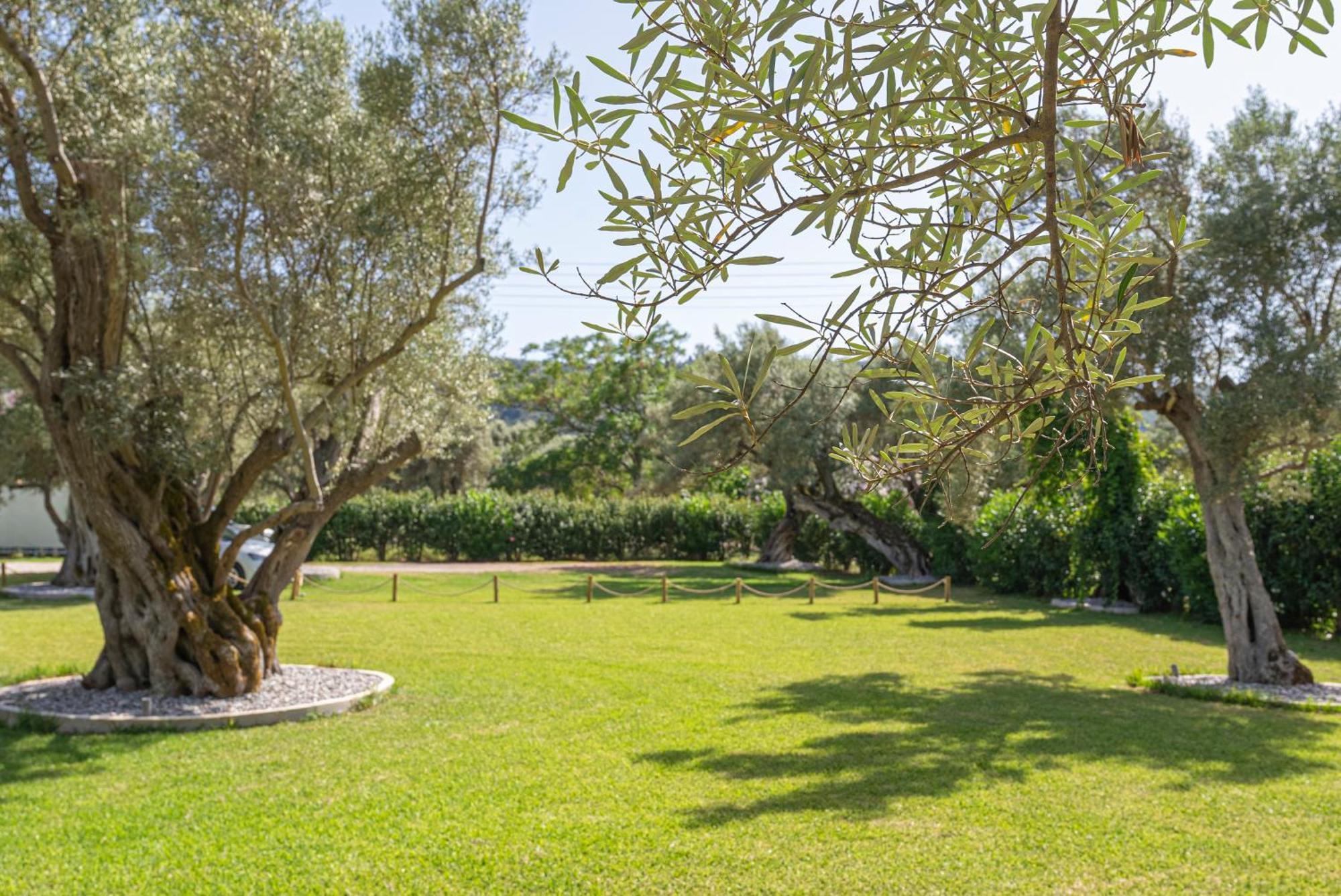 Lefkáda Elaia - Apartments & Studios מראה חיצוני תמונה