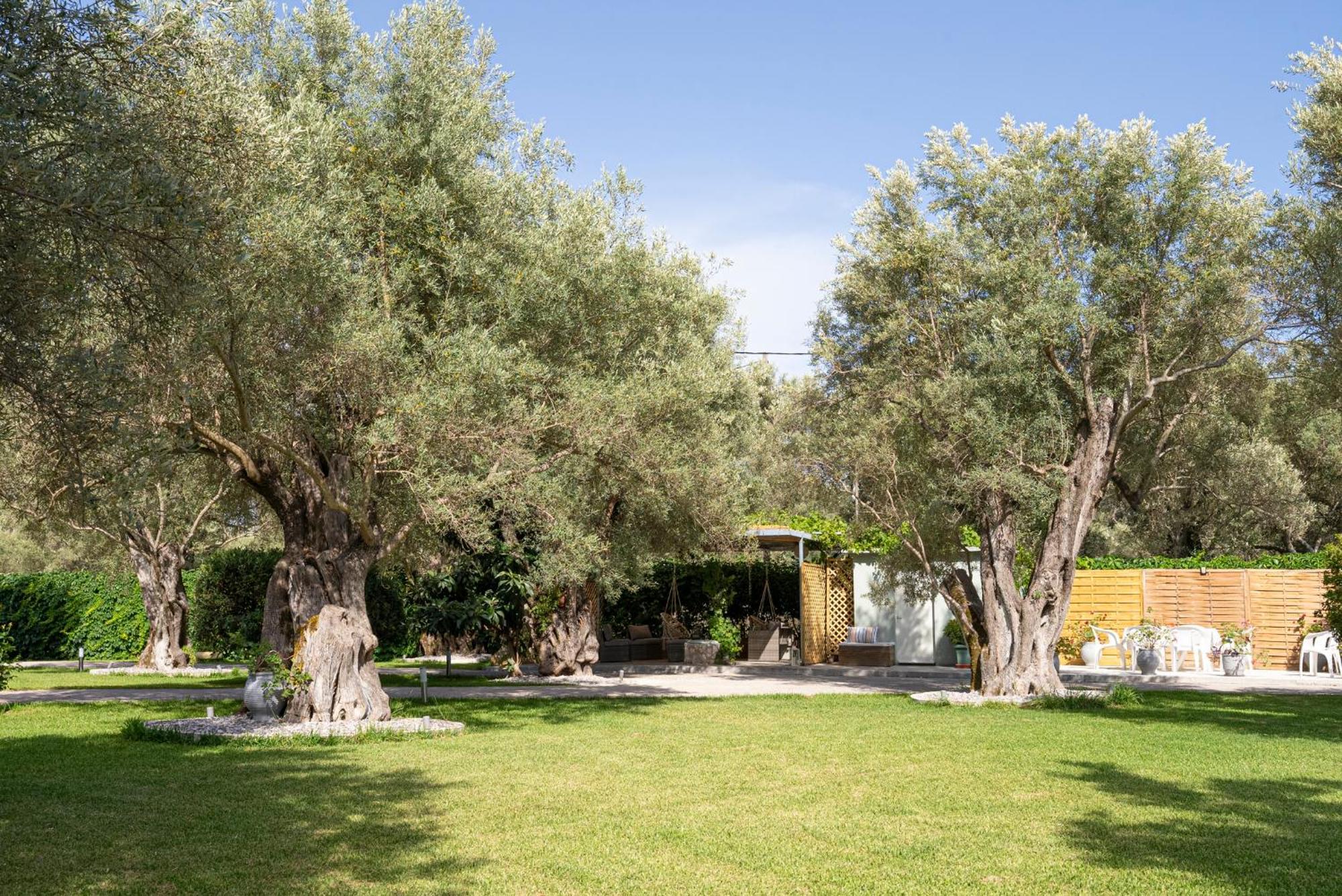 Lefkáda Elaia - Apartments & Studios מראה חיצוני תמונה