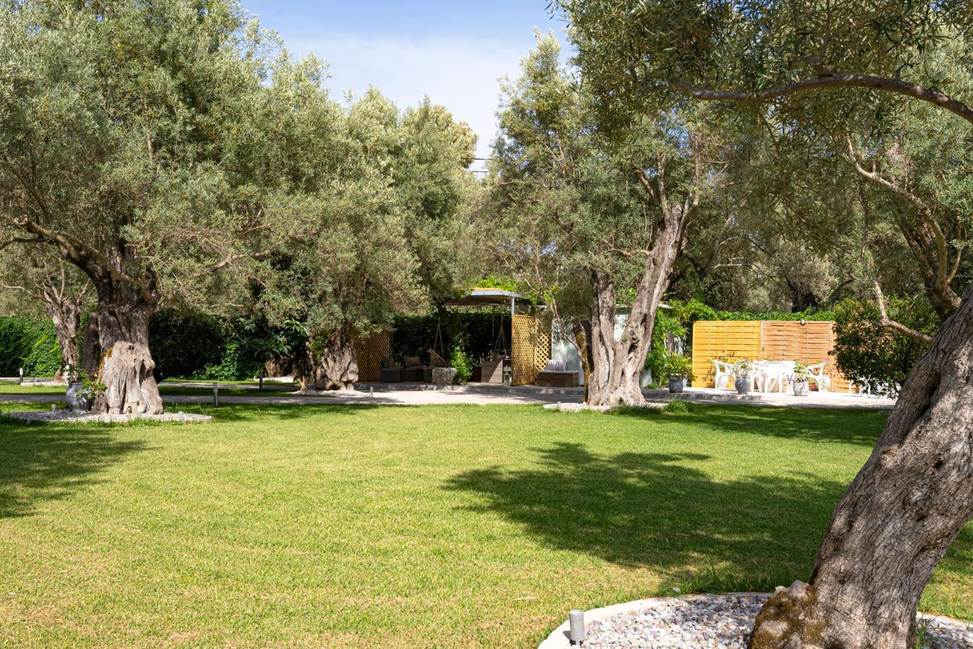 Lefkáda Elaia - Apartments & Studios מראה חיצוני תמונה
