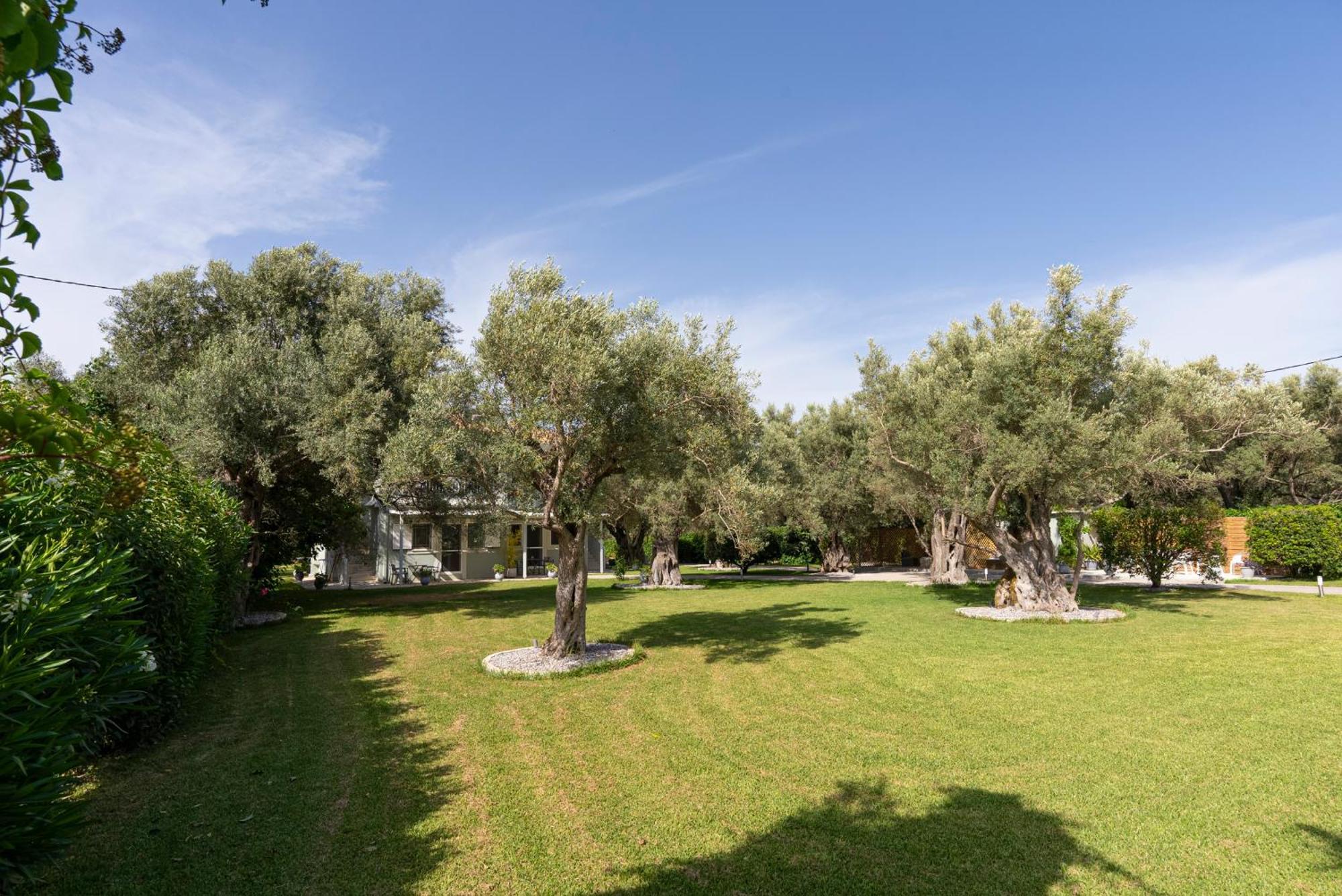 Lefkáda Elaia - Apartments & Studios מראה חיצוני תמונה